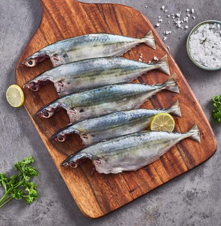 Mackerel (Bangda)